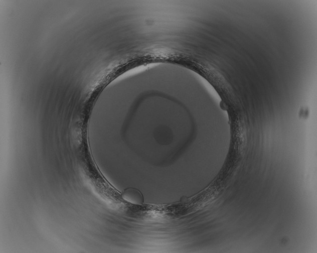 X0000111590496200908061353