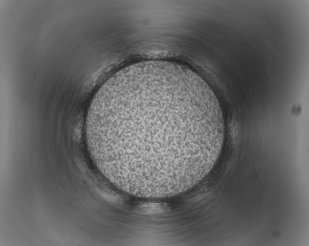 X0000111590499200908061353