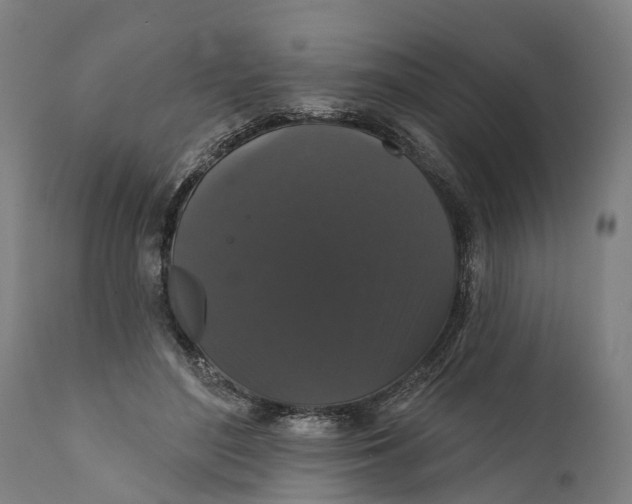 X0000111590500200908061353