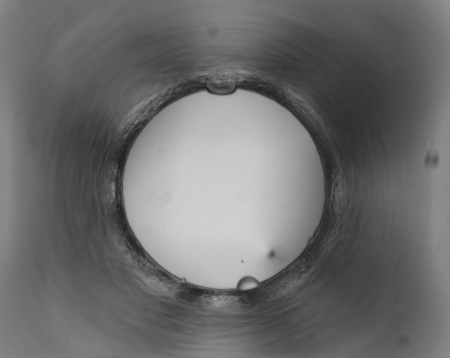 X0000111590501200908061353