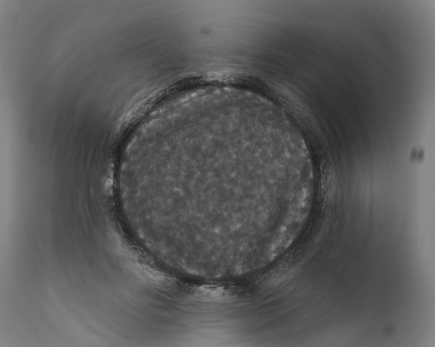 X0000111590502200908061353