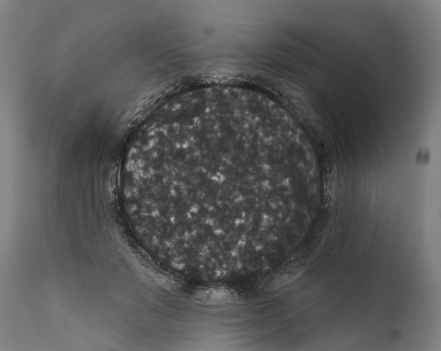 X0000111590503200908061353