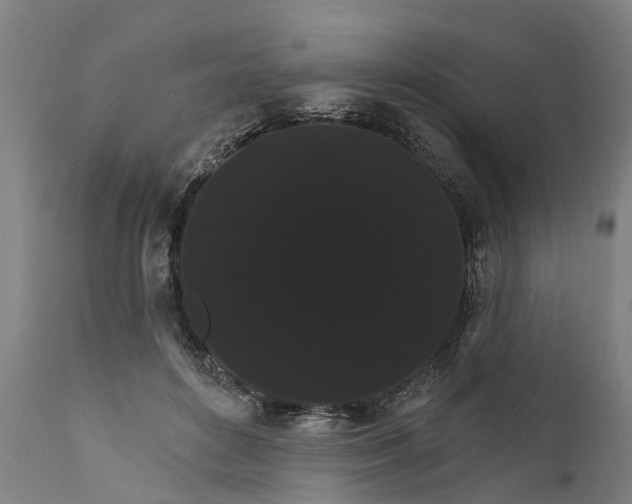 X0000111590504200908061353