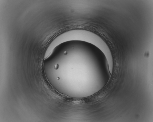 X0000111590505200908061353