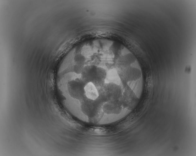 X0000111590506200908061353