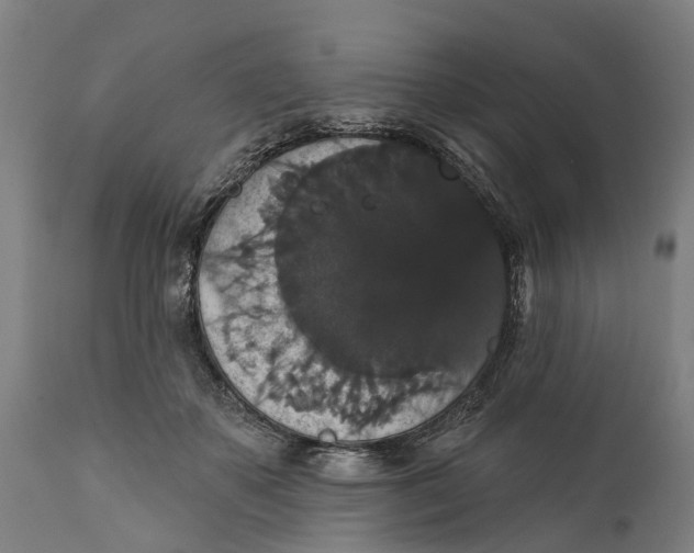 X0000111590507200908061353