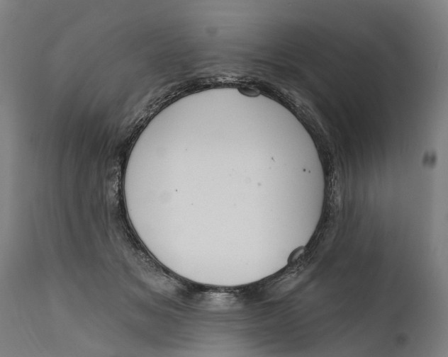 X0000111590509200908061353