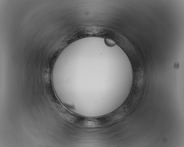 X0000111590510200908061353