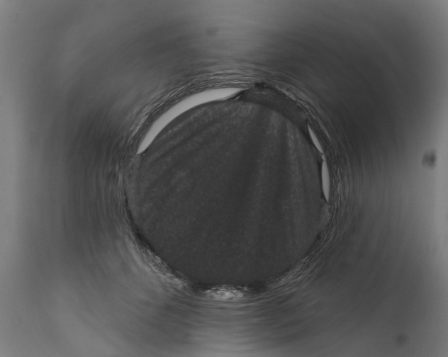 X0000111590512200908061353