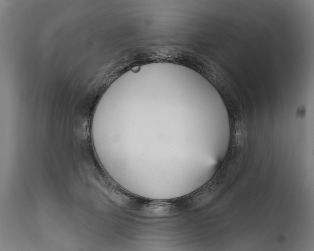 X0000111590514200908061353