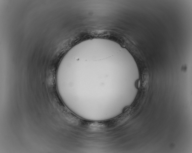 X0000111590515200908061353