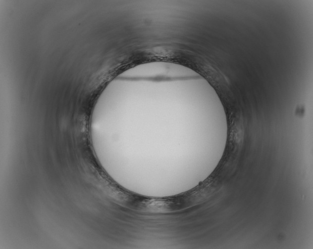 X0000111590518200908061353