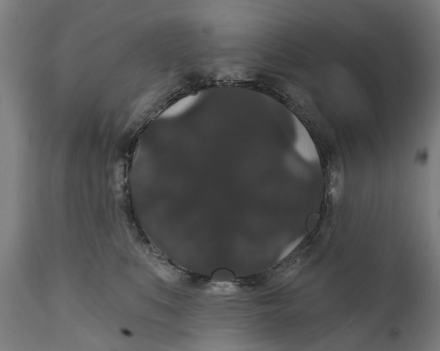 X0000111590519200908061353