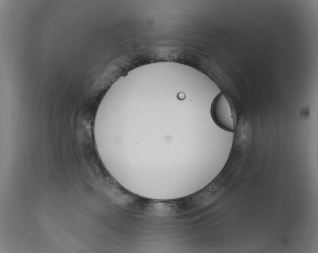 X0000111590522200908061353