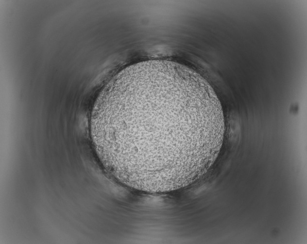 X0000111590523200908061353