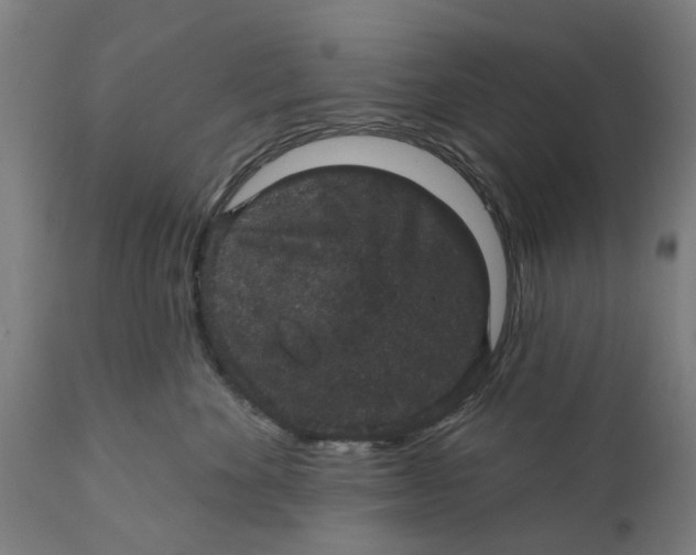 X0000111590524200908061353