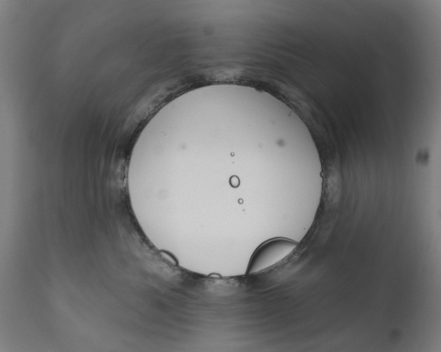 X0000111590525200908061352