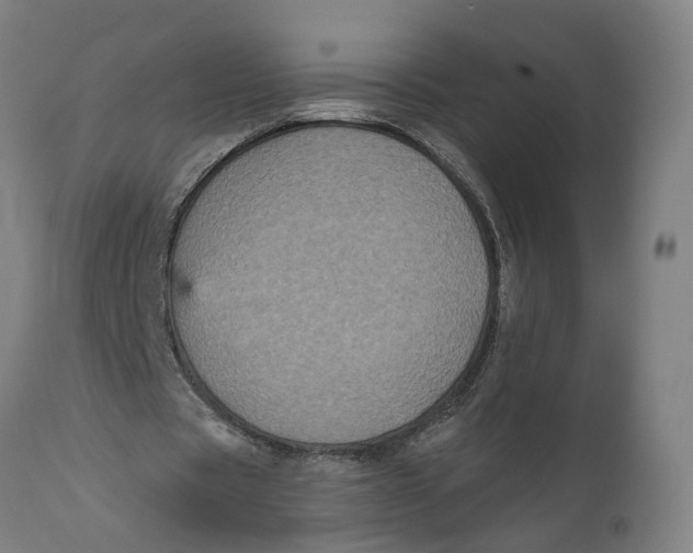 X0000111590529200908061352