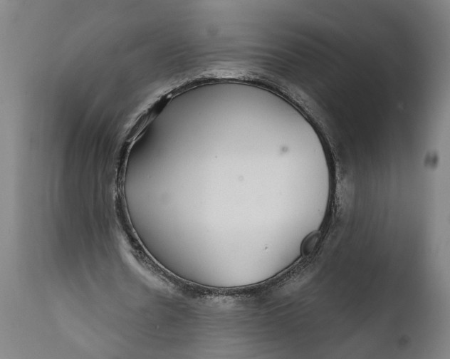 X0000111590530200908061352