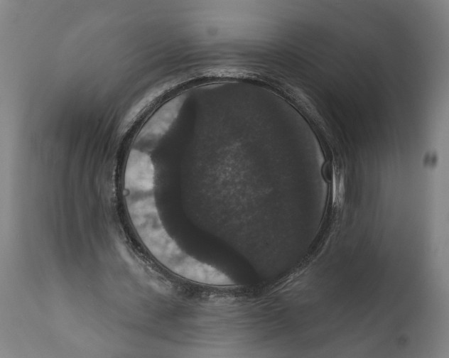 X0000111590531200908061352