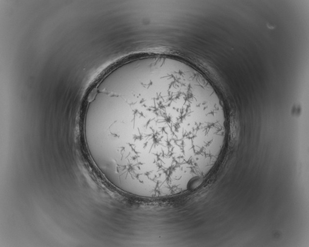 X0000111590532200908061352