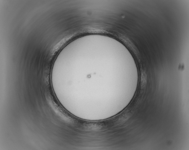 X0000111590533200908061352