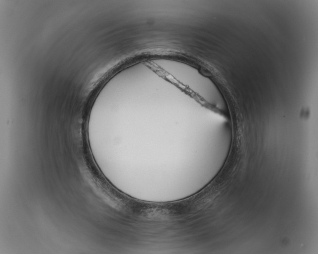 X0000111590535200908061352