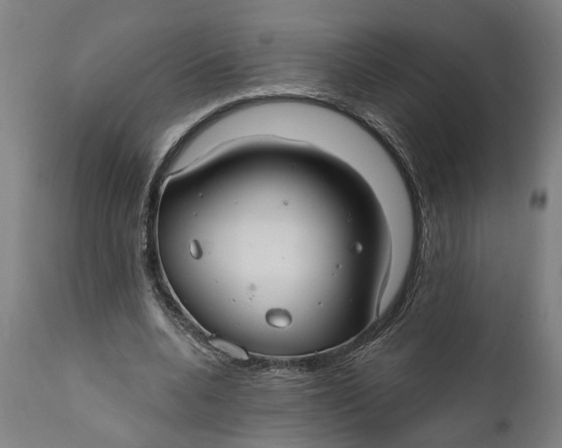 X0000111590536200908061352