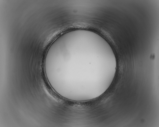 X0000111590538200908061352