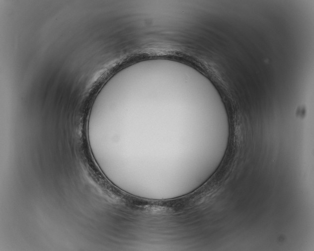 X0000111590539200908061352