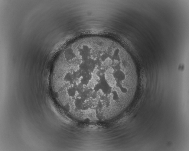 X0000111590542200908061352