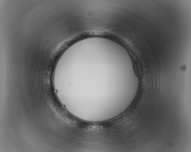 X0000111590543200908061352