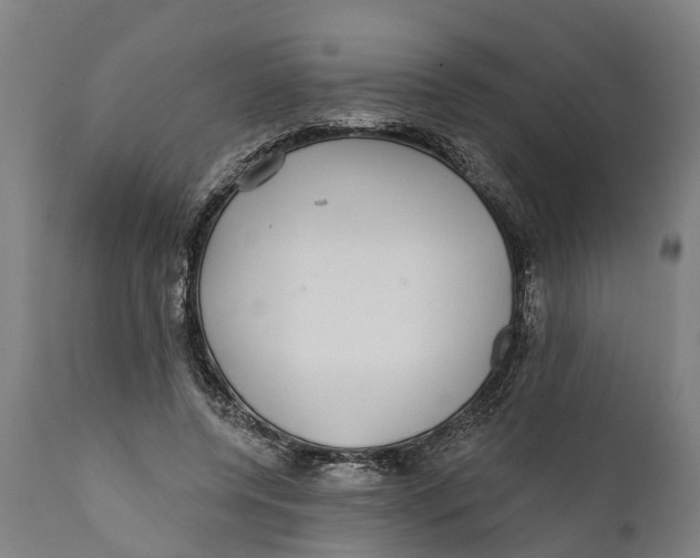 X0000111590544200908061352