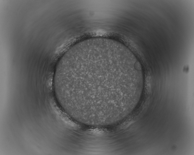 X0000111590545200908061352