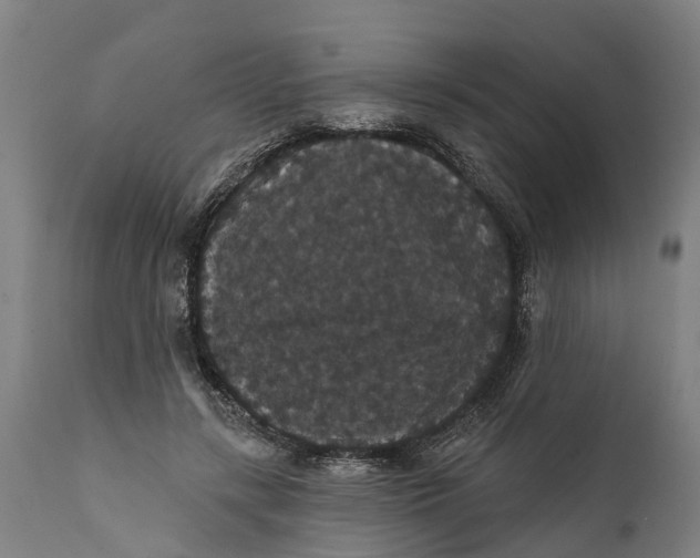 X0000111590547200908061352