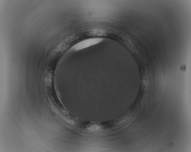 X0000111590551200908061352