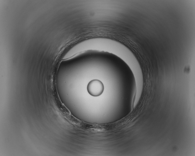 X0000111590552200908061352