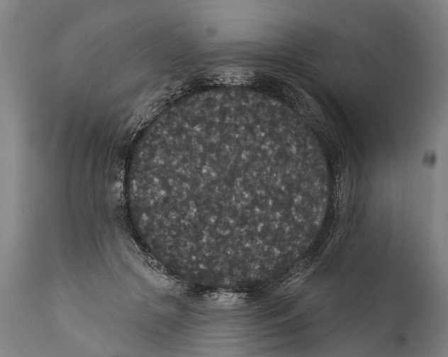 X0000111590553200908061352