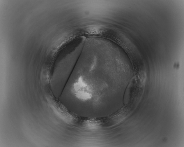 X0000111590556200908061352