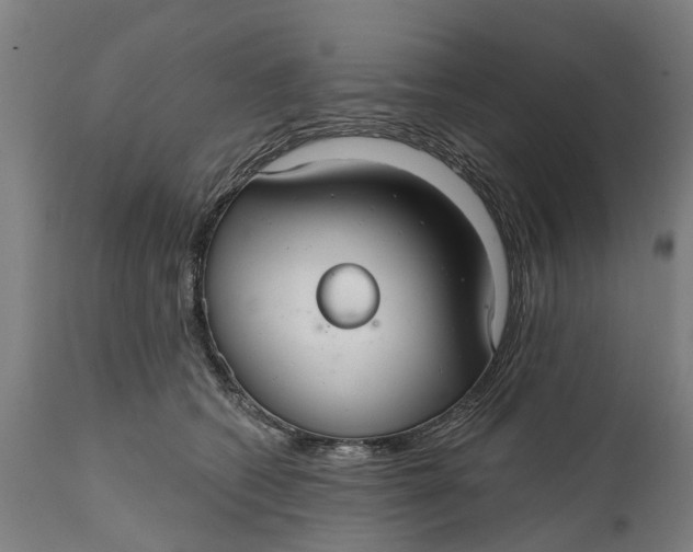 X0000111590562200908061352