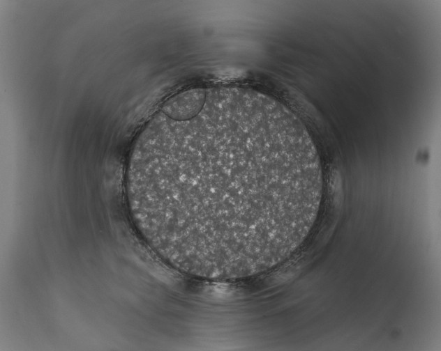 X0000111590565200908061352