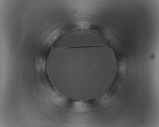 X0000111590568200908061352