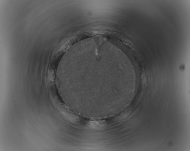 X0000111590571200908061352