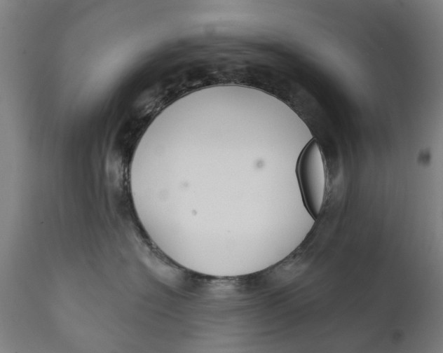 X0000111590574200908061352