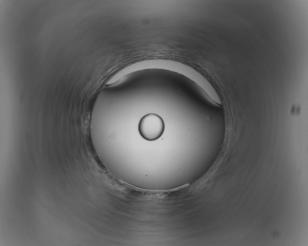 X0000111590576200908061352