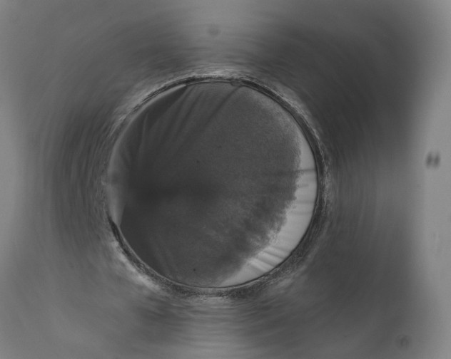 X0000111590577200908061352