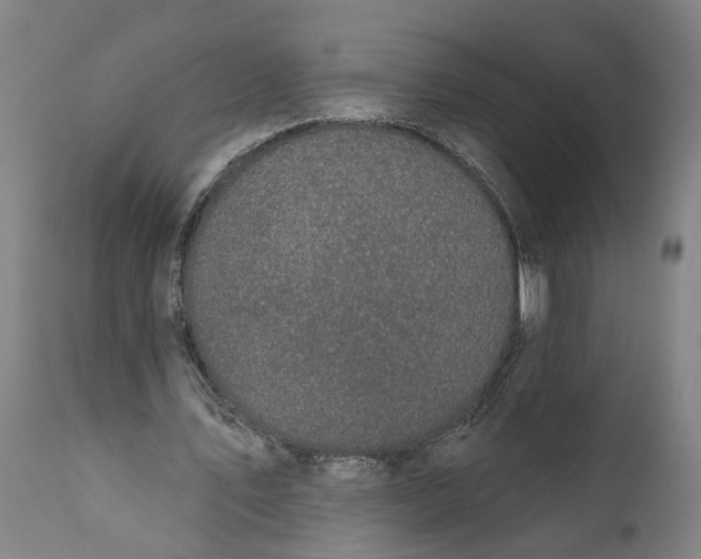 X0000111590579200908061352