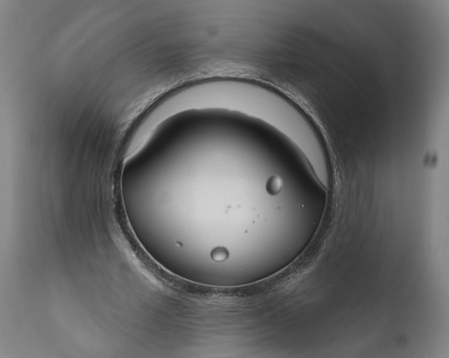 X0000111590581200908061352