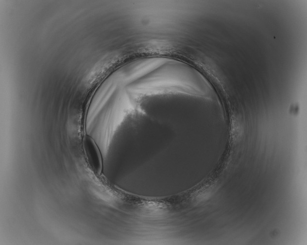 X0000111590585200908061352