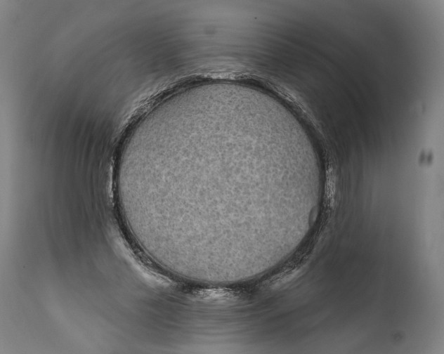 X0000111590589200908061352